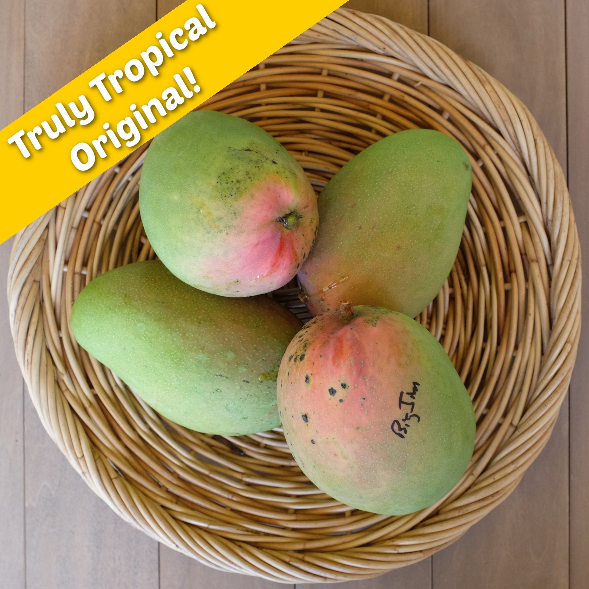 Mangos — The Mango Place